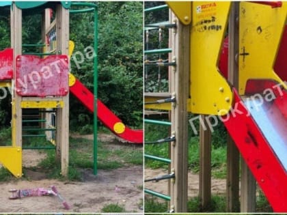 Нарушения на детских площадках в Богородицком районе