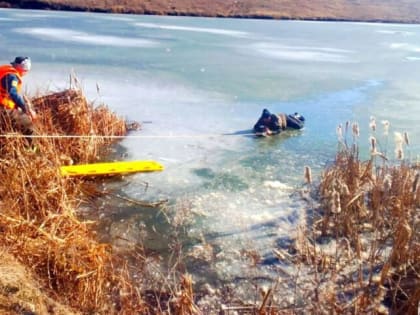 Тульские спасатели вытащили рыбака из ледяной ловушки в Ефремовском районе