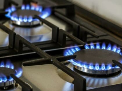 Долги жителей Тульской области за газ возросли до 90,5 миллионов рублей