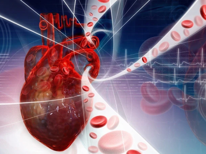 Тулякам 3 июля расскажут о профилактике сердечно-сосудистых заболеваний в летний период