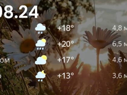 Погодный прогноз и гороскоп на 11 августа в Тульской области