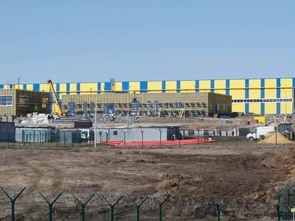 В Узловой открылся завод по переработке пищевой конопли