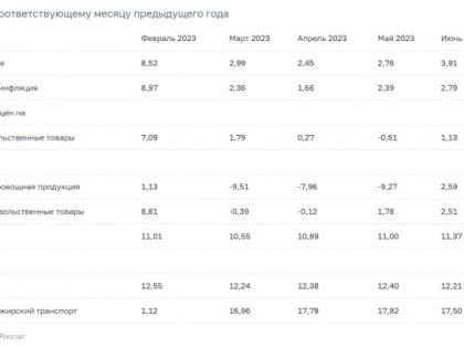 В Тульской области годовая инфляция по итогам июня составила 3,91%