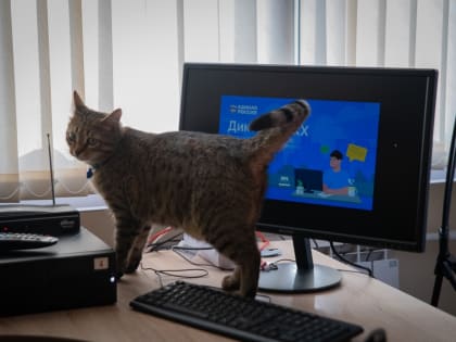 Быть грамотными в вопросах ЖКХ