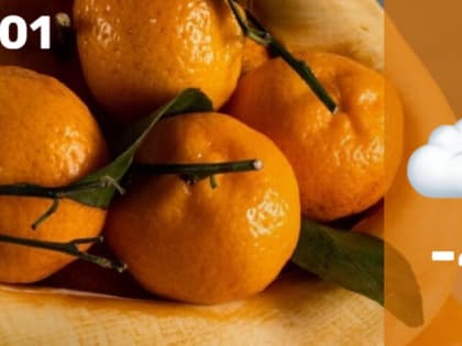 Утренний дайджест ИА «За Новомосковск»: опасный грипп, стипендия для олимпийцев и польза прогулок