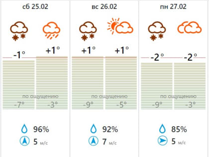 После морозов Тульскую область ждут потепление и сильные снегопады