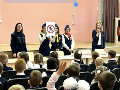 Госавтоинспекция Тульской области проводит уроки дорожной грамотности