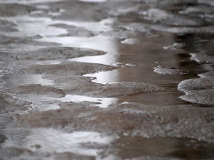 Прогноз погоды в Туле на 14 марта: дождь со снегом и сильный ветер