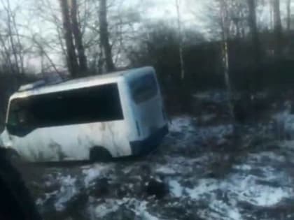 Маршрутка с пассажирами съехала в кювет в Тульской области