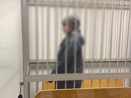 Жительницу Алексина, ударившую ножом полицейского, заключили под стражу