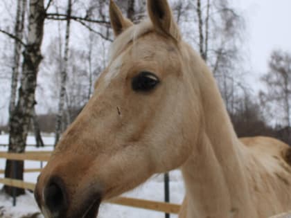 Стало известно, каких редких специалистов ищут тульские компании в феврале