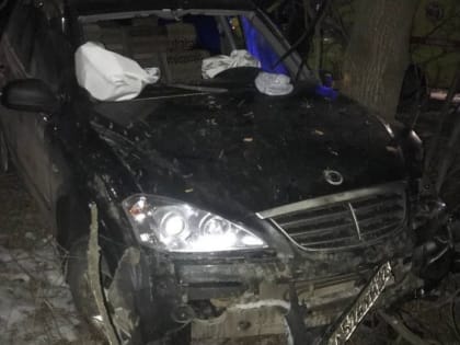 В Туле на Орловском шоссе SsangYong улетел в кювет и врезался в дерево