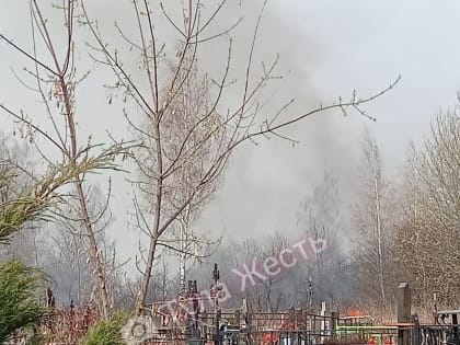 В Щекинском районе загорелось кладбище