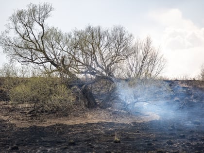 В Тульской области пожарная опасность может достигнуть 5 класса