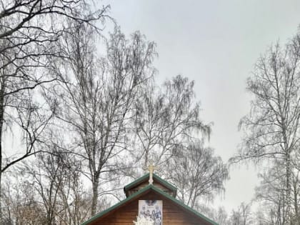 Как новомосковские храмы украсили к Рождеству: Фоторепортаж