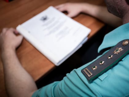 В Туле дом и земельный участок должников продадут на аукционе