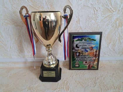 Безопасность на дорогах: акция в Лобне