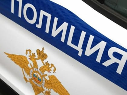 В Новомосковске задержали троих подростков, обокравших автомобиль