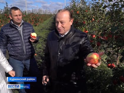 Депутаты Тульской Облдумы оценили куркинские яблоки