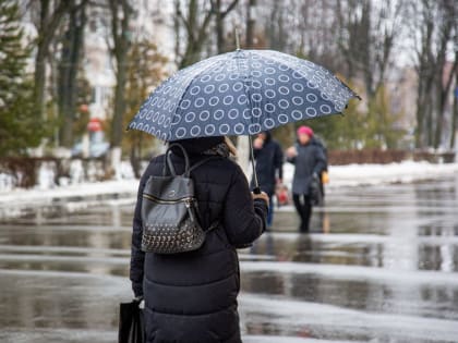 11 марта в Тульской области будет до +6 и снег с дождем