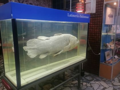 Подводные исследователи встретились в Институте океанологии