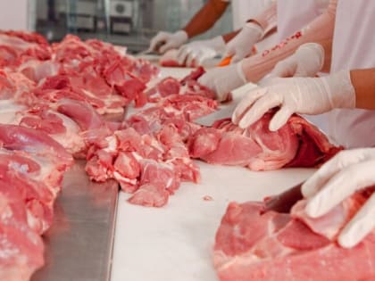 Безопасность на дорогах: акция в Лобне