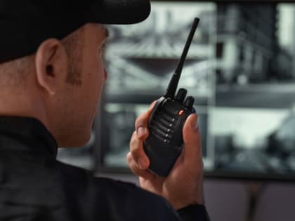 Четыре варианта «ленивой» работы для жителей Тульской области