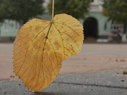 В Тульской области к выходным температура воздуха может прогреться до +13 градусов