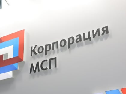 Более 240 млрд рублей привлек малый и средний бизнес с помощью гарантийной поддержки по нацпроекту в 1 квартале