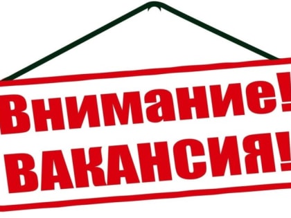 Тенденции на рынке труда: востребованные профессии будущего