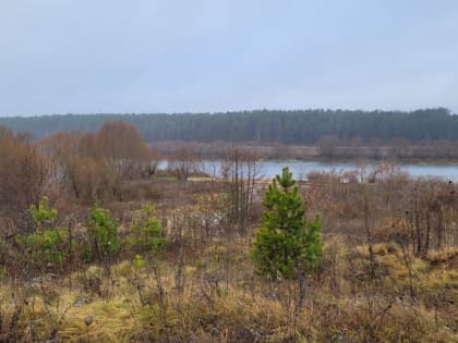 Погода в Туле на 18 ноября: облачно с прояснениями