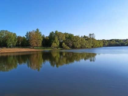 «Опасные» пляжи Тульской области: МЧС назвало самые опасные места для купания