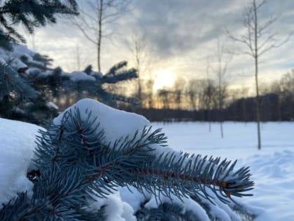 27 декабря в Туле ожидается переменная облачность и до -13°С