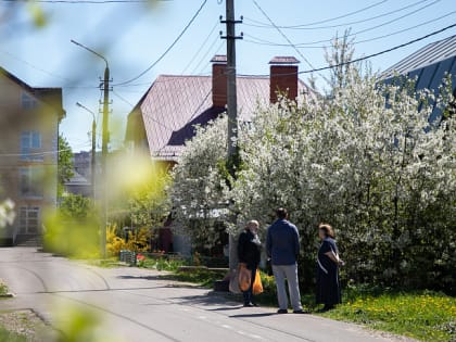 На выходных в Тульской области может похолодать до +22 градусов
