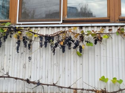 Проблемы с водоснабжением в Костроме