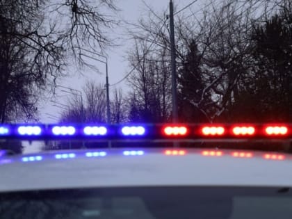 Тульские автоинспекторы поймали 22 пьяных водителя за выходные