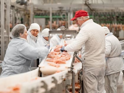 «Мираторг» с начала года нарастил производство мяса птицы на 14%