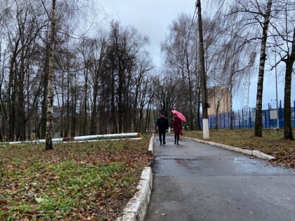 23 ноября в Тульской области ожидается гололедица и до −6°С