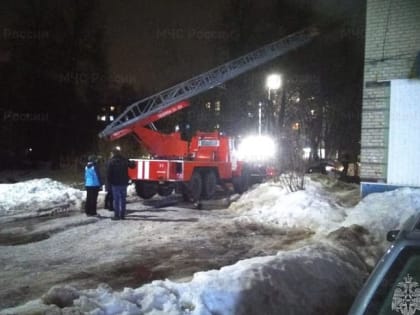 В Донском Тульской области произошел пожар