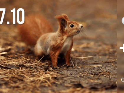 Карантин и события в Каменском районе