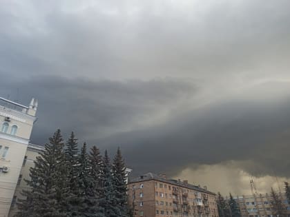 В Тульской области ожидается сильный ветер: метеопредупреждение