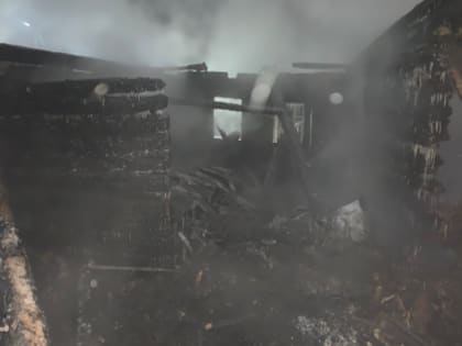 В Тульской области на пожаре погиб 62-летний мужчина: следователи проводят проверку
