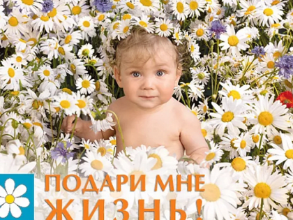 Всероссийская акция «Подари мне жизнь» стартовала в Туле