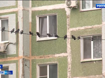 Приметы на 1 октября. Почему нельзя махать птицам?