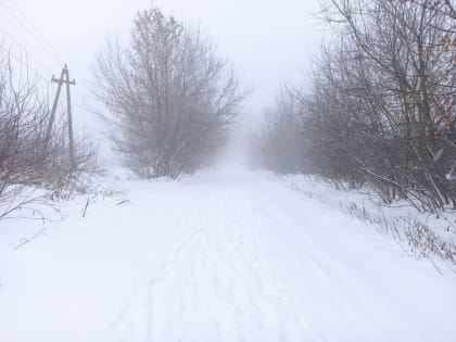 8 января в Туле будет пасмурно, но почти без снега, до -9 градусов