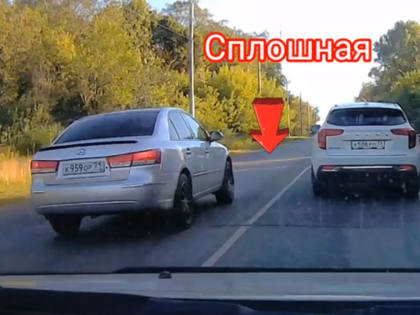 На Щекинском шоссе встретили рискового водителя