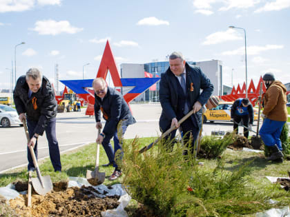 Призвание – разработчик