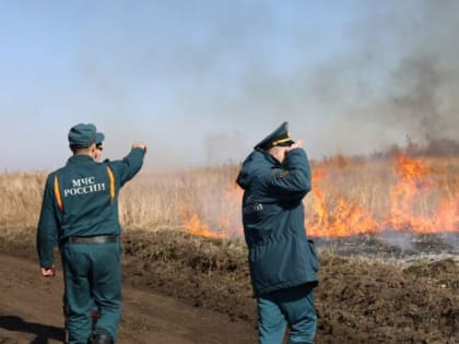 Спасатели Тулы направлены в ЛНР для борьбы с пожарами
