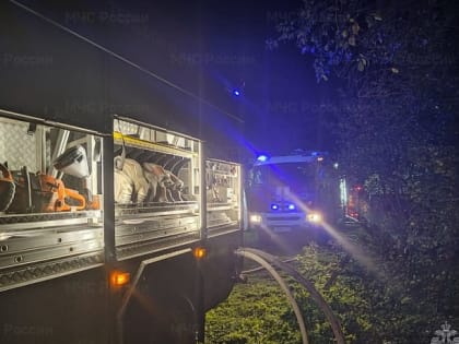 Пенсионерка погибла при пожаре в жилом доме в тульской деревне Харино