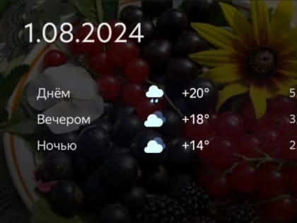 Прогноз погоды и гороскоп на 1 августа в Тульской области